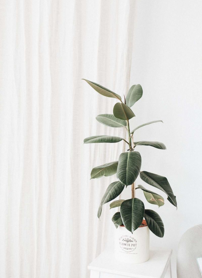 Sample Post with Nested Comments